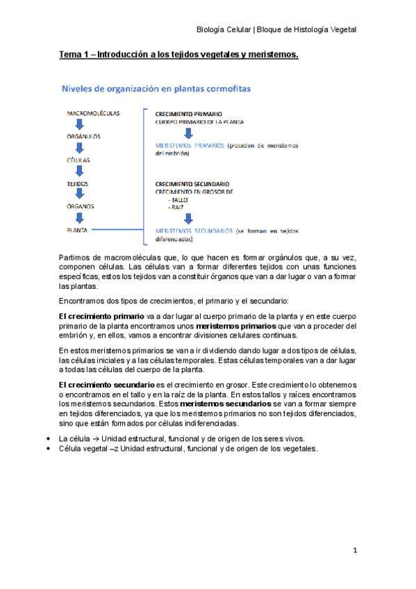 Miniatura del documento Tema-1-Introduccion-a-los-tejidos-vegetales-y-meristemos.pdf