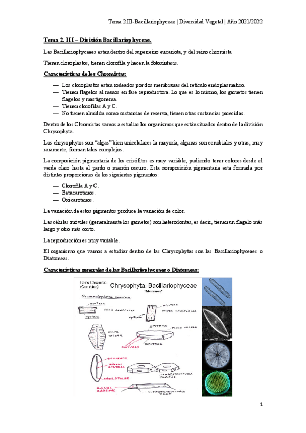 Miniatura del documento Tema-2.pdf