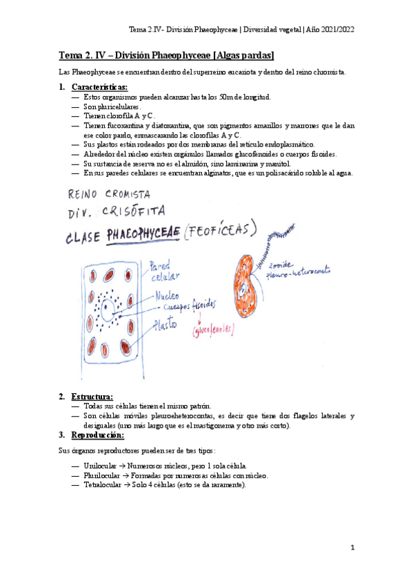 Miniatura del documento Tema-2.pdf