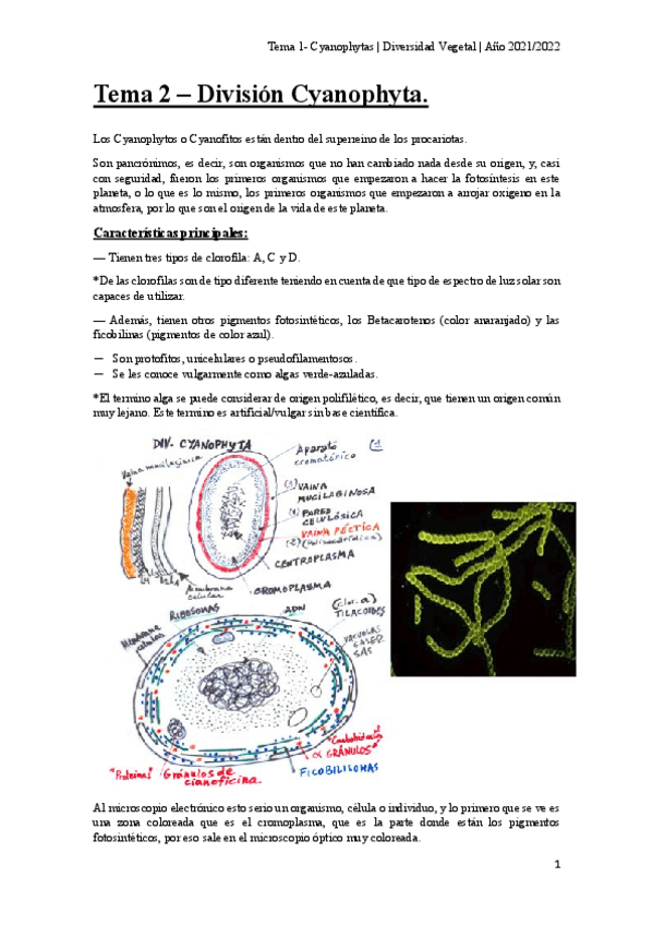 Miniatura del documento Tema-2-cyanophyta.pdf