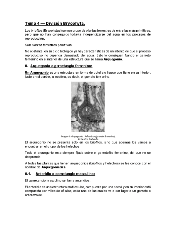 Miniatura del documento Tema-4-Division-Bryophyta.pdf