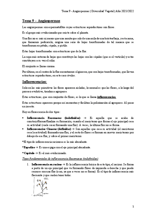 Miniatura del documento Tema-9-Angiospermas.pdf