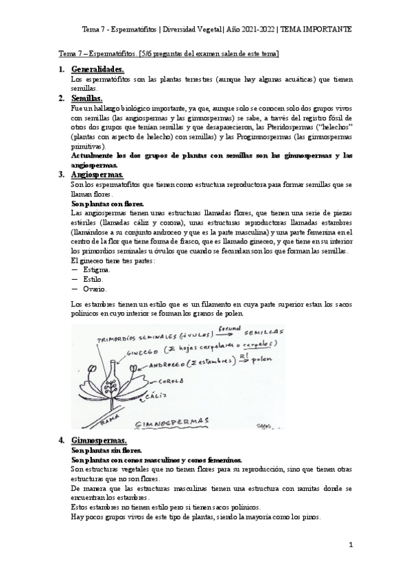 Miniatura del documento Tema-7-Espermatofitos.pdf