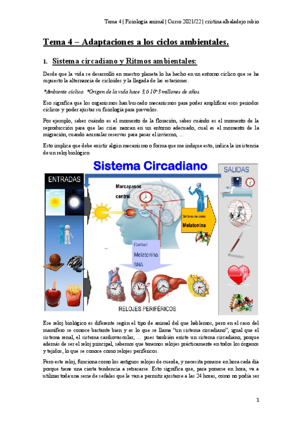 Miniatura del documento Tema-4.pdf