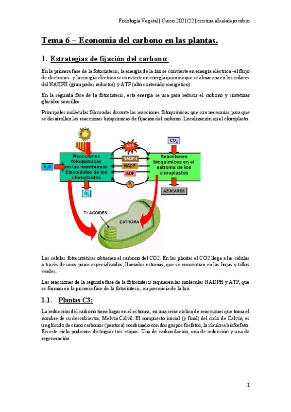 Miniatura del documento Tema-6.pdf