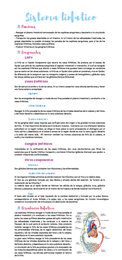 Miniatura del documento Copia-de-Copia-de-Medio-interno.pdf
