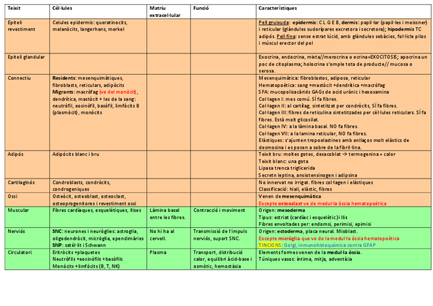 Miniatura del documento TAULA RESUM CITO.pdf
