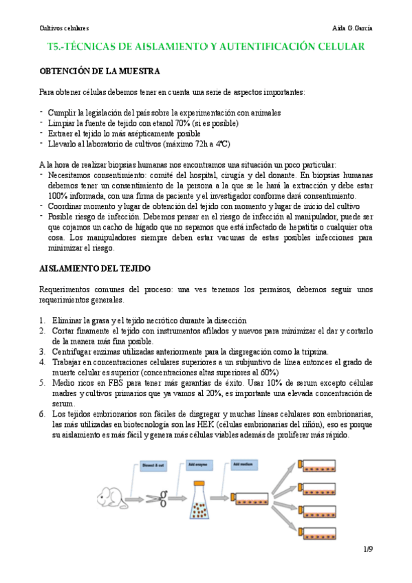 Miniatura del documento T5.pdf
