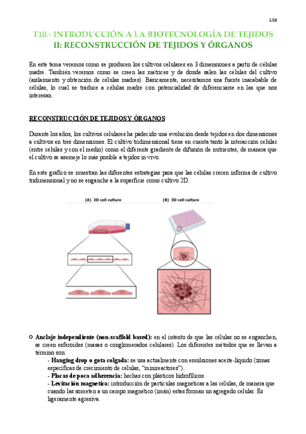 Miniatura del documento T10.pdf