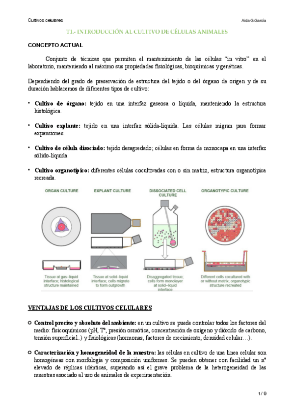 Miniatura del documento T1.pdf