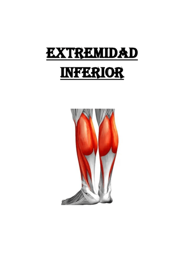 Miniatura del documento Rodilla-y-pie.pdf