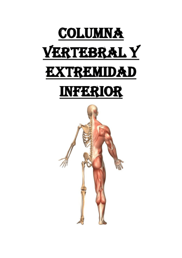 Miniatura del documento Columna-vertebral-y-cadera.pdf