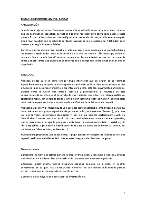 Miniatura del documento TEMA-5-DELINCUENCIA-JUVENIL-BANDAS.pdf