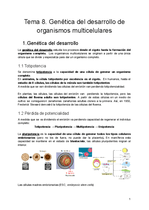 Miniatura del documento Tema-8.pdf