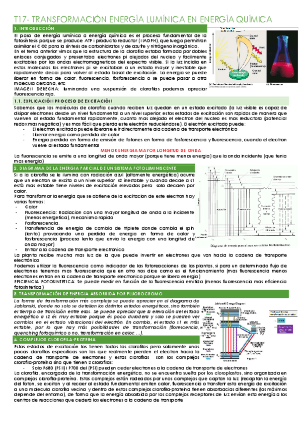 Miniatura del documento T17-TRANSFORMACION-ENERGIA-LUMINICA-EN-ENERGIA-QUIMICA.pdf