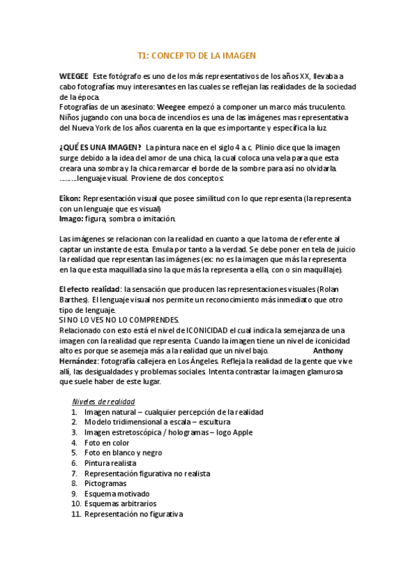 Miniatura del documento Teoria-de-la-Imagen-Apuntes.pdf