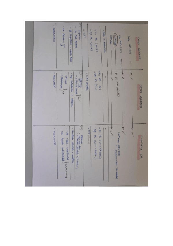 Miniatura del documento Esquema-tipos-de-sistemas-de-costes-IMP.pdf