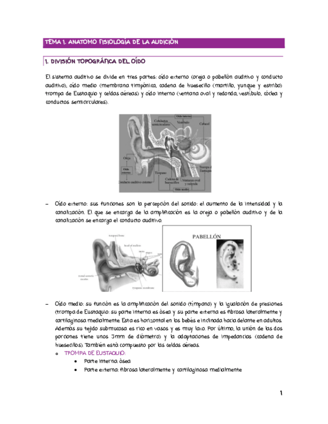 Miniatura del documento EXPLORACION-DE-LA-AUDICION.pdf
