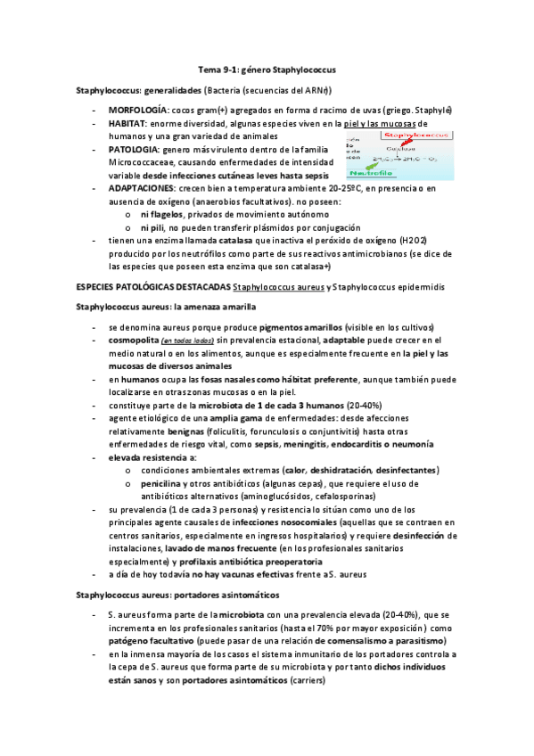 Miniatura del documento Micro temas 9-11.pdf