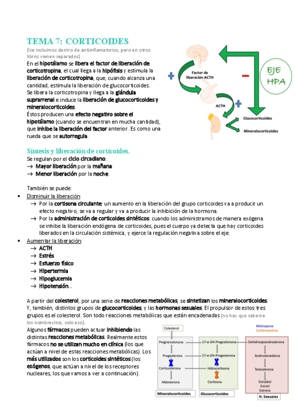 Miniatura del documento Tema-7-Corticoides.pdf