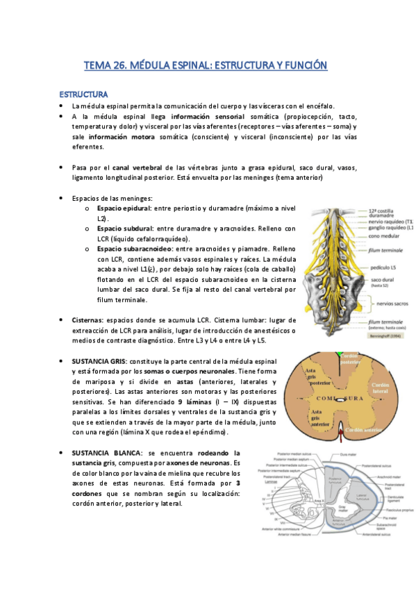 Miniatura del documento TEMA-26.pdf
