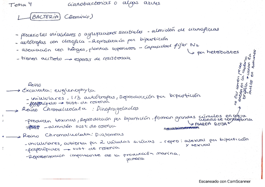 Miniatura del documento temas-4-5-6-y-ciclo-de-vida-basidiomycetes.pdf