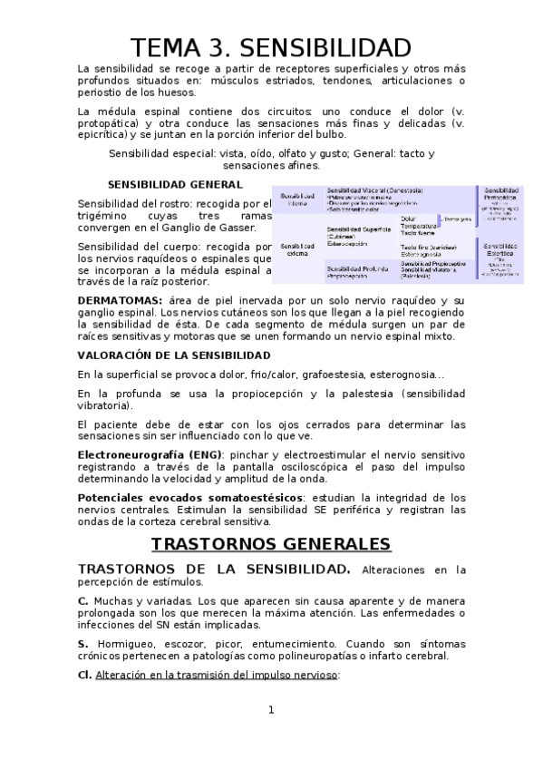 Miniatura del documento TEMA-3.odt