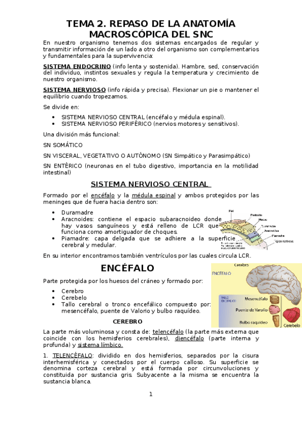 Miniatura del documento TEMA-2.odt