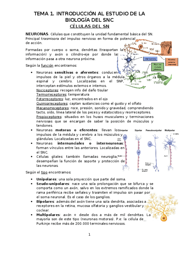 Miniatura del documento TEMA-1.odt