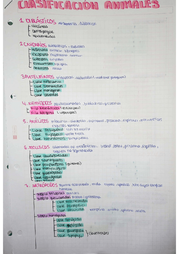Miniatura del documento clasificacion-animales.pdf