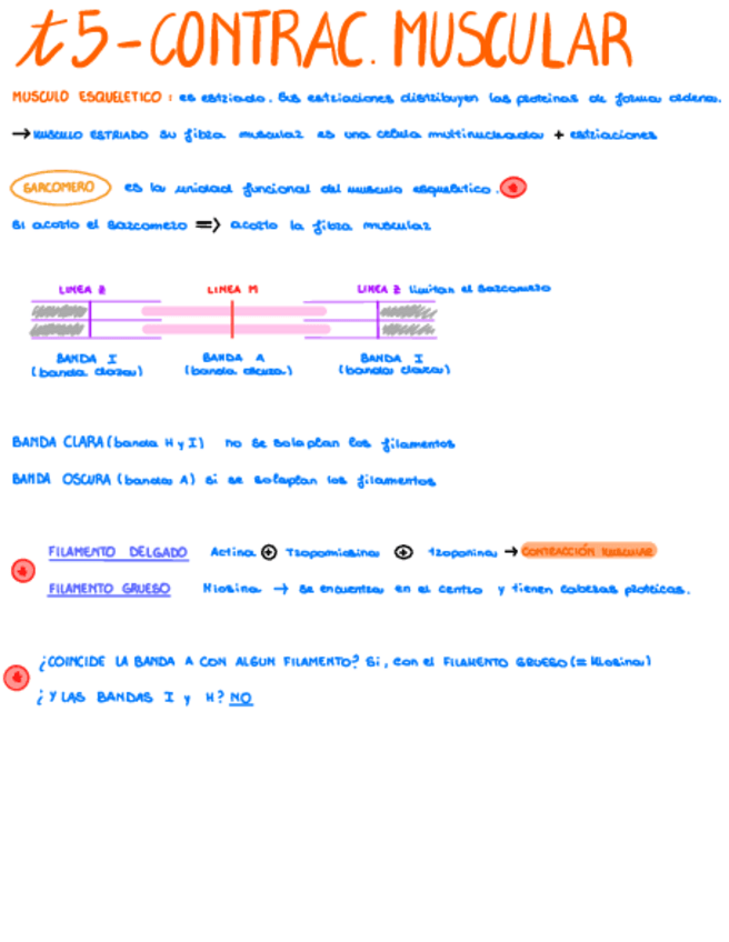 Miniatura del documento Bloc-de-notas-sin-titulo.pdf