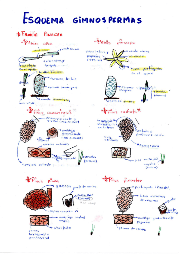 Miniatura del documento botanica-cuaderno-1.pdf