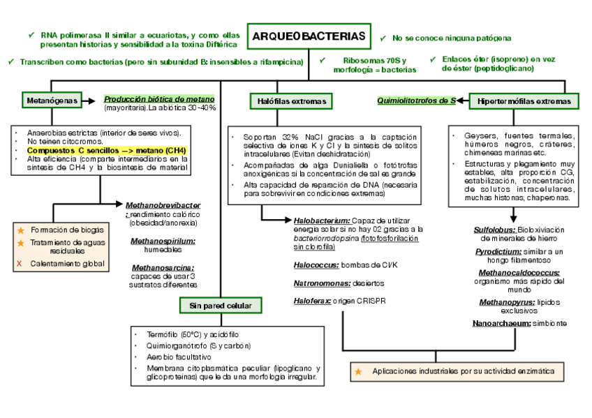 Miniatura del documento Esquemas-diversidad-bacteriana.pdf