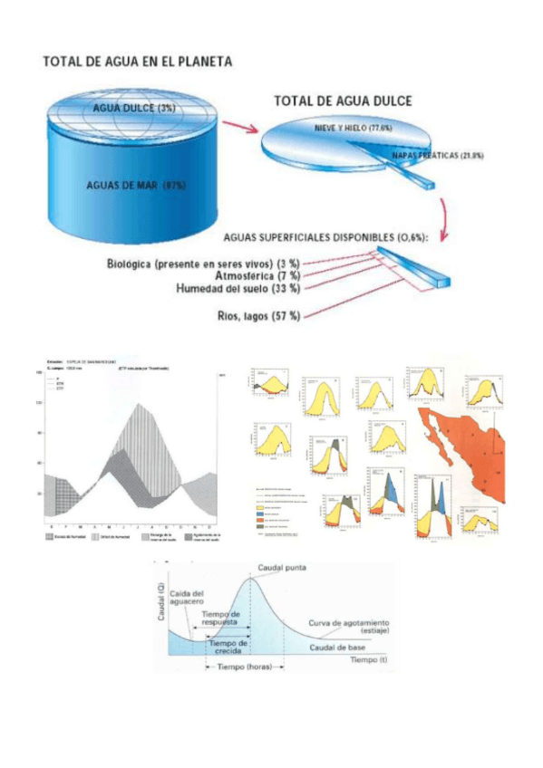 Miniatura del documento resumen-en-imagenes.pdf