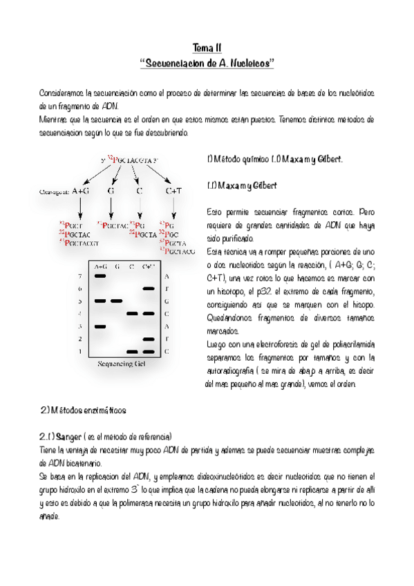 Miniatura del documento Tema-11--Secuenciacion-de-A.pdf