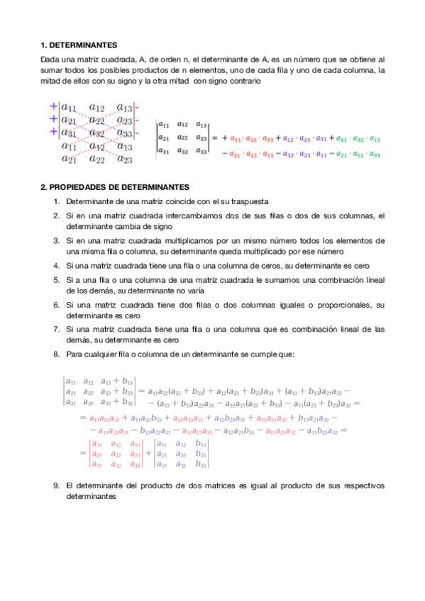 Miniatura del documento DETERMINANTES.pdf