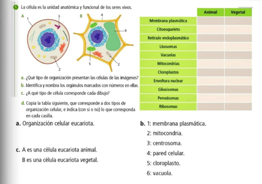 Miniatura del documento Actvs-B-T5.pdf