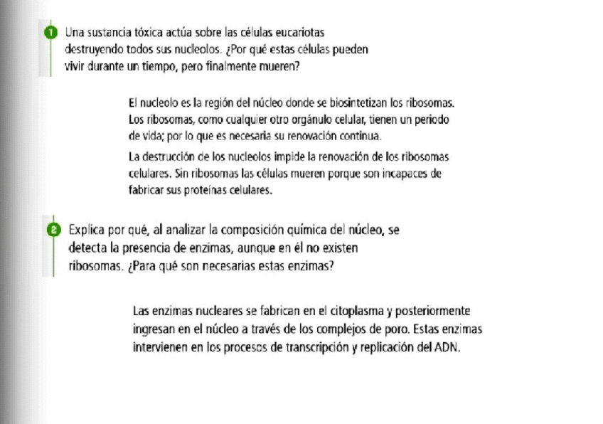 Miniatura del documento Actvs-B-T7.pdf