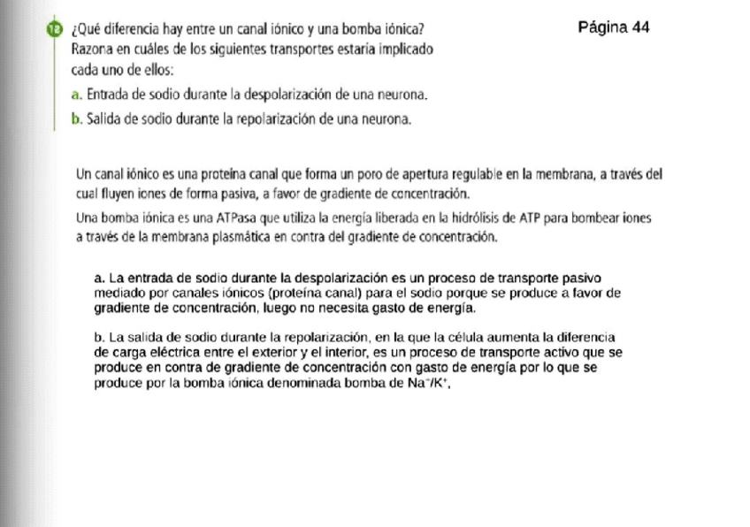 Miniatura del documento Actvs-B-t8.pdf