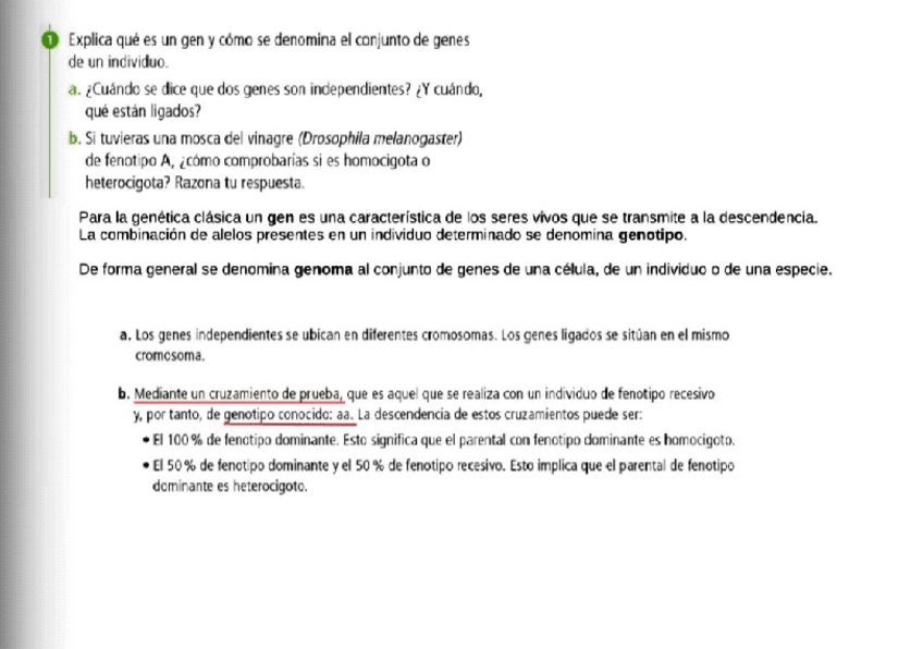 Miniatura del documento Actvs-B-t11.pdf