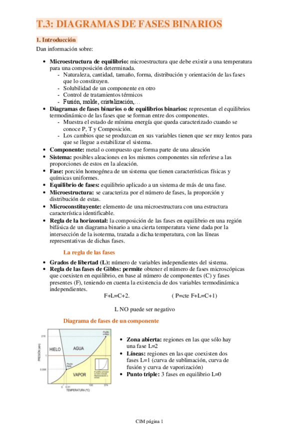 Miniatura del documento T.pdf