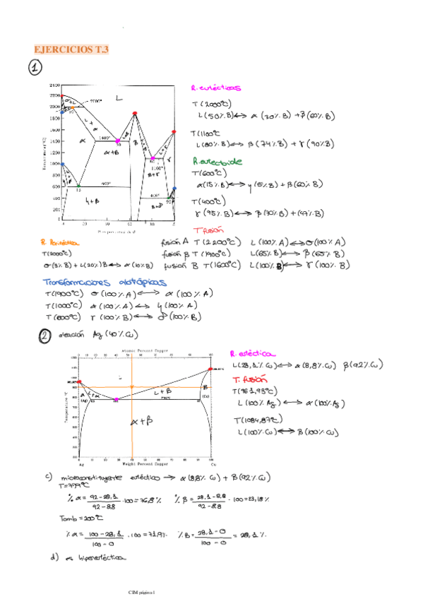 Miniatura del documento EJERCICIOS-T.pdf