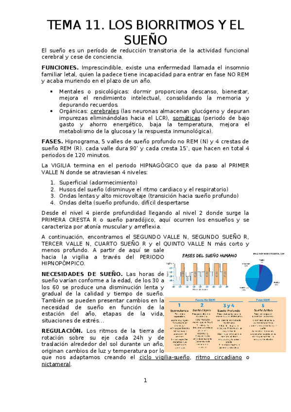 Miniatura del documento TEMA-11.odt
