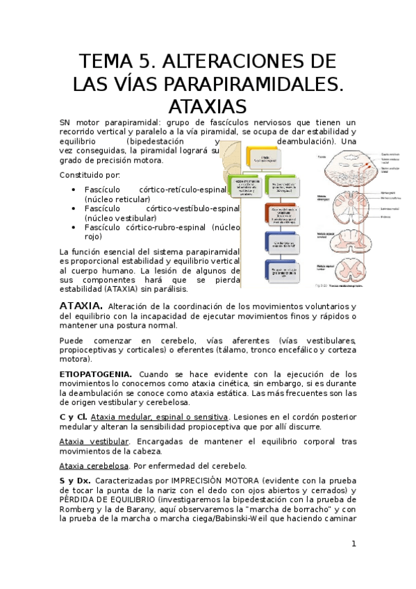 Miniatura del documento TEMA-5.odt