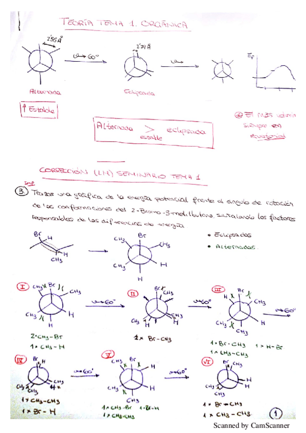 Miniatura del documento Teoria QO Tema 1.pdf