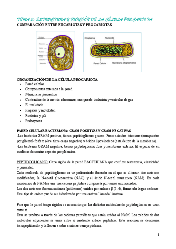 Miniatura del documento TEMA-3-MICRO.pdf