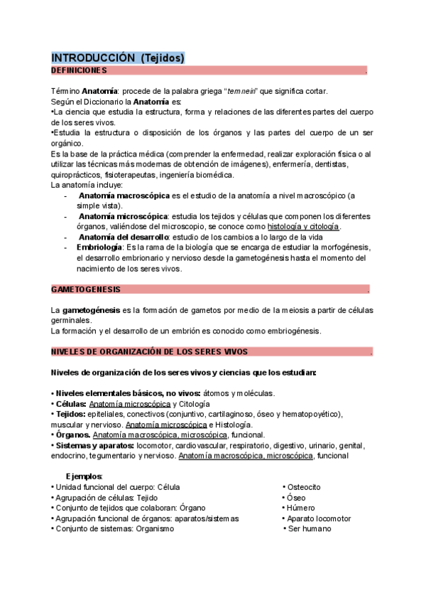 Miniatura del documento Introduccion.pdf