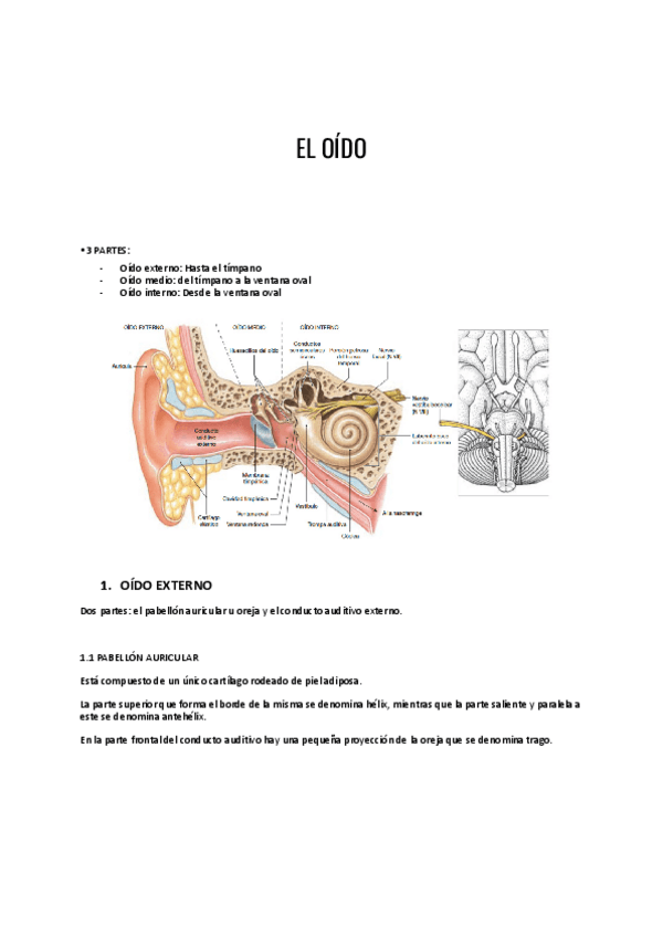 Miniatura del documento EL-OIDO-Y-EL-OJO.pdf