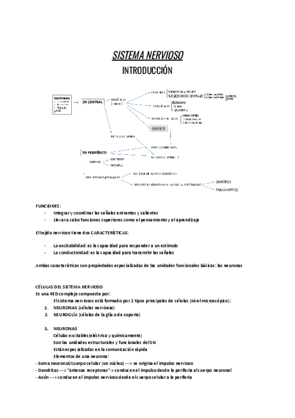 Miniatura del documento SN-Introduccion-meninges-y-LCR.pdf