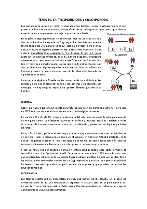 Miniatura del documento TEMA-10.pdf